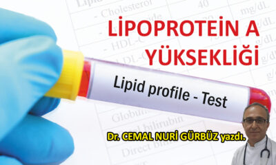 Lipoprotein A Yüksekliği