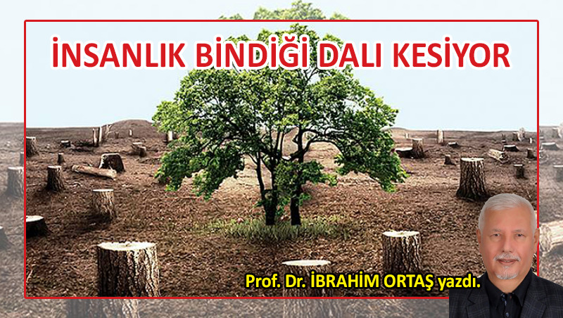 İnsanlık bindiği dalı kesiyor