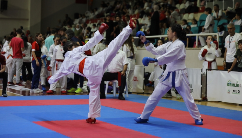 Gemlik’te karate heyecanı yaşanacak