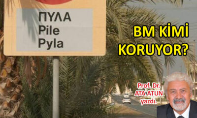 BM kimi koruyor?