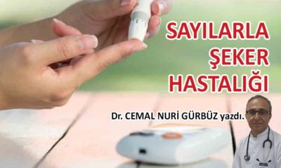 Sayılarla Şeker Hastalığı 