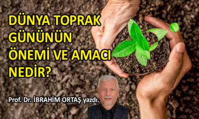 Dünya Toprak Gününün Önemi ve Amacı Nedir?