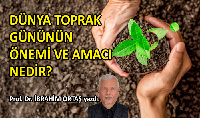 Dünya Toprak Gününün Önemi ve Amacı Nedir?