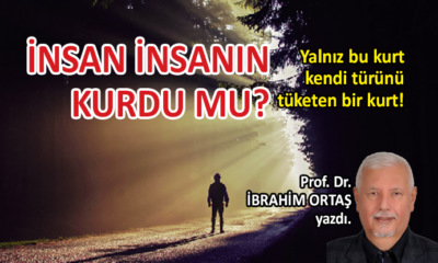 İnsan insanın kurdu mu?