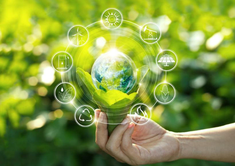 Ekolojik ve vegan ürünler ile daha yeşil bir gelecek…