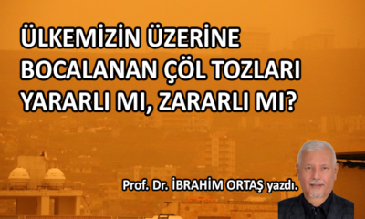 Ülkemiz üzerine bocalanan çöl tozları yararlı mı, zararlı mı?