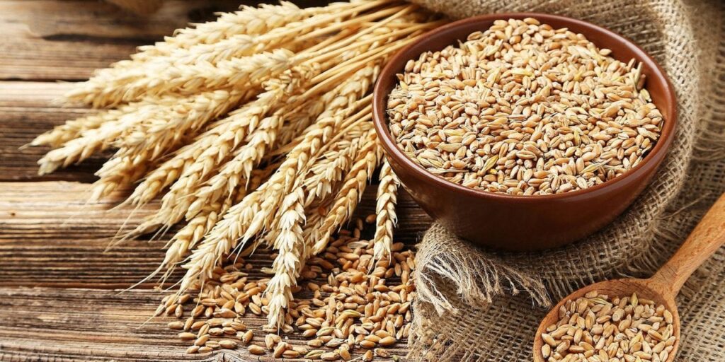 Çiftçiye Kara Haber: Buğdayın Fiyatı Belli Oldu!
