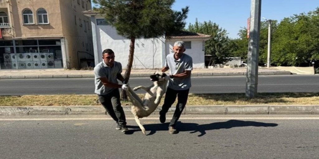 Katliama ilk başlayan DEM Partili belediye oldu