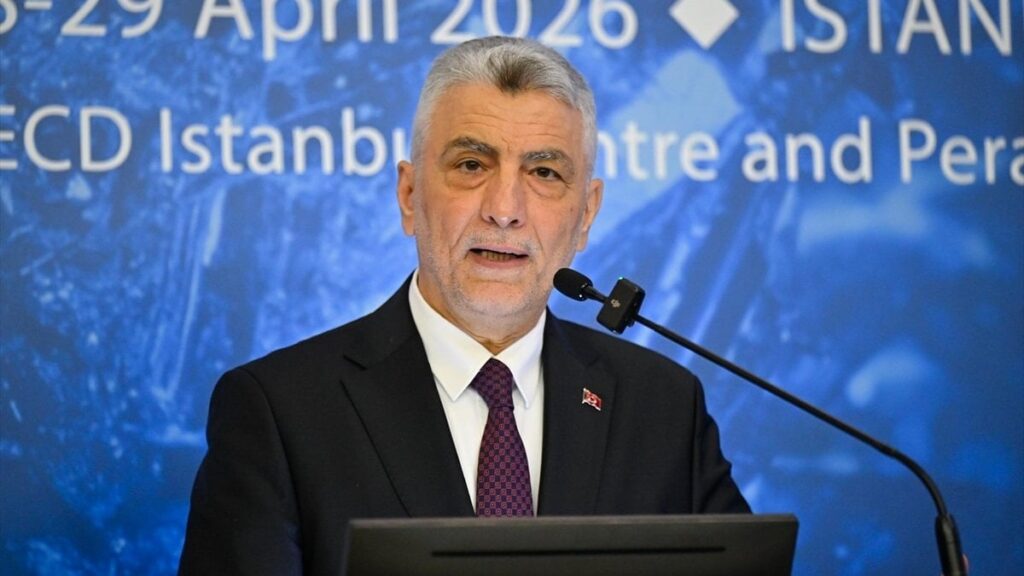 OECD Kritik Mineraller Forumu