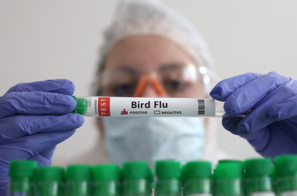 Svalbard’da H5N5 Tespitleri