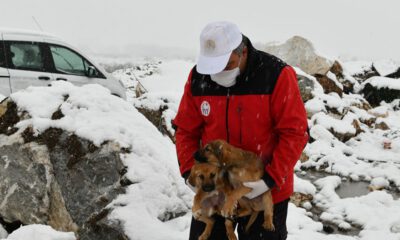 Bursa’da yavru köpekler donmaktan kurtarıldı