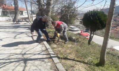 Buldan Belediyesi’nden ağaçlandırma çalışmaları
