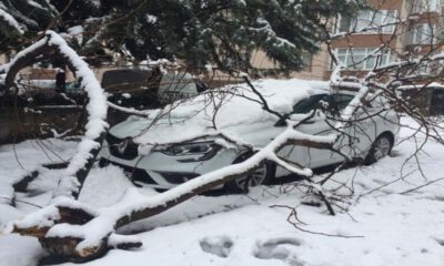 Bursa’da kar yükünü kaldıramayan ağaç otomobilin üstüne devrildi (ÖZEL HABER)