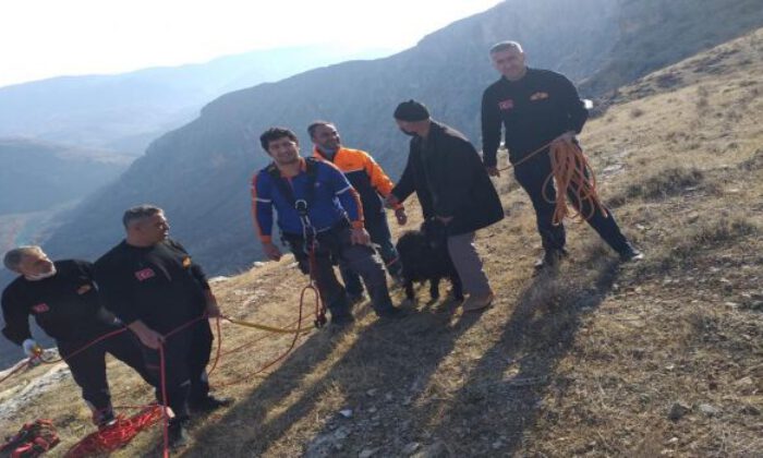Siirt’te mahsur kalan keçiyi AFAD kurtardı