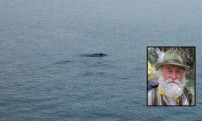 Muğla Fethiye’de fok balığı görenleri heyecanlandırdı